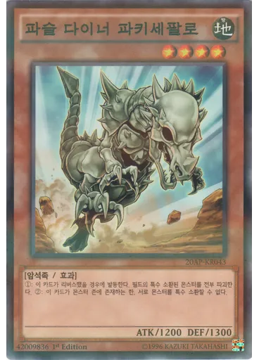파슬 다이너 파키세팔로