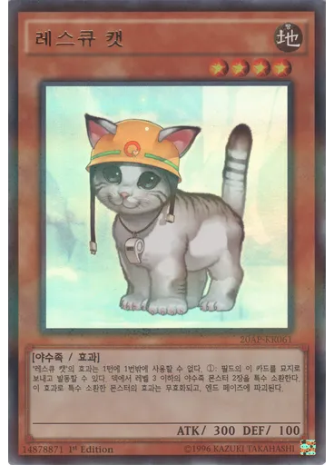 레스큐 캣