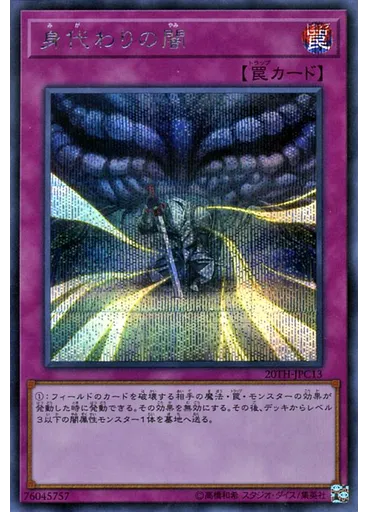 身代わりの闇