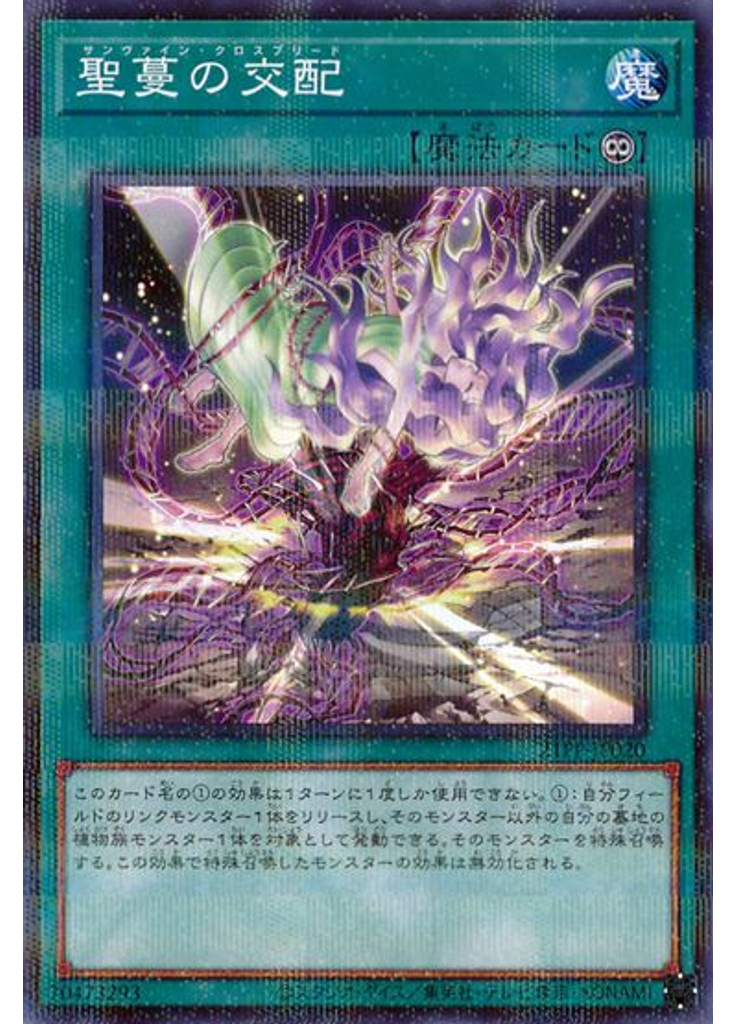 聖蔓の交配 (Normal Parallel Rare)
