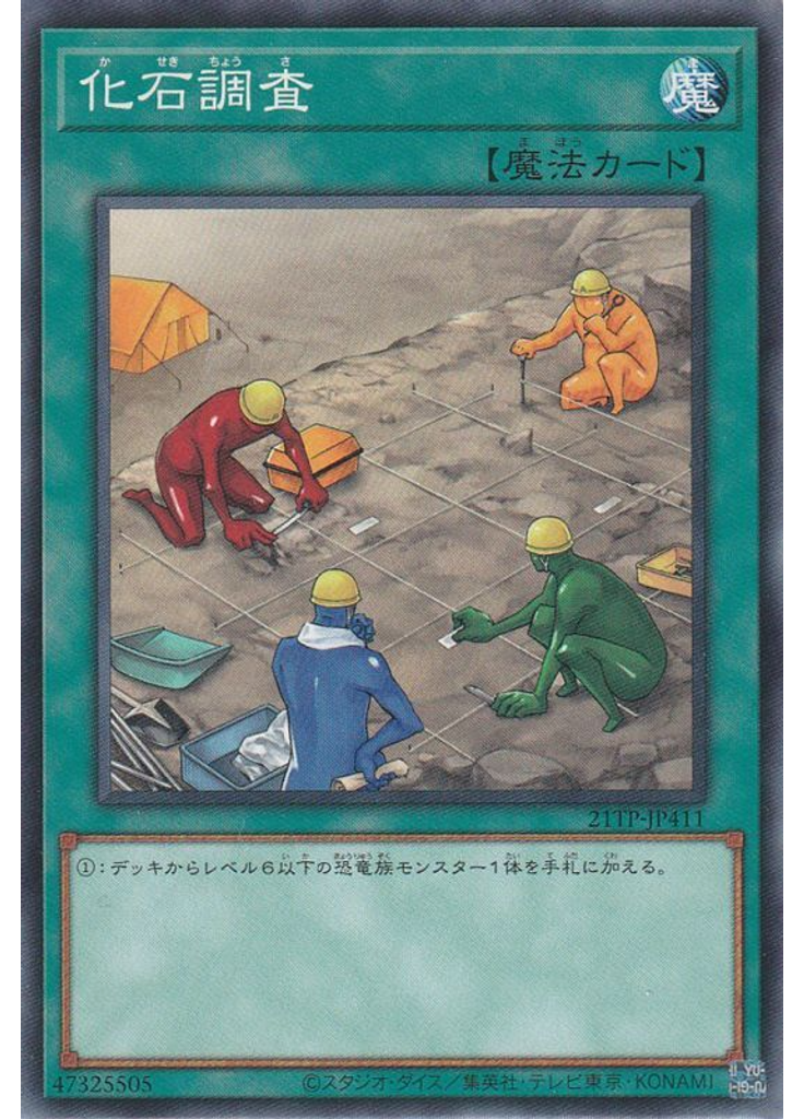 化石調査