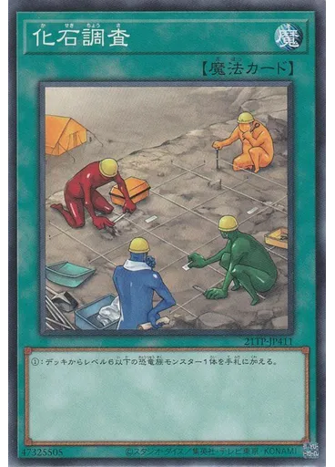 化石調査