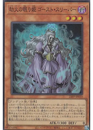 劫火の眠り姫 ゴースト・スリーパー