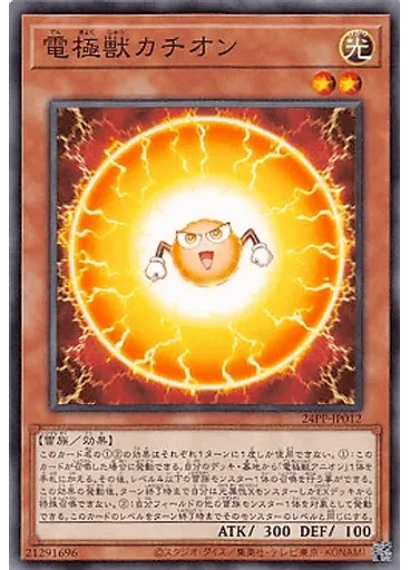 電極獣カチオン