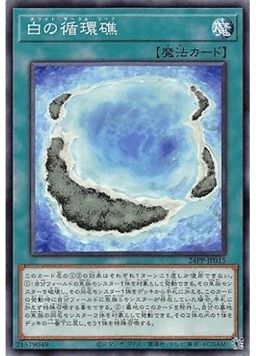 白の循環礁