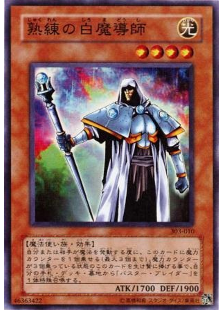 熟練の白魔導師