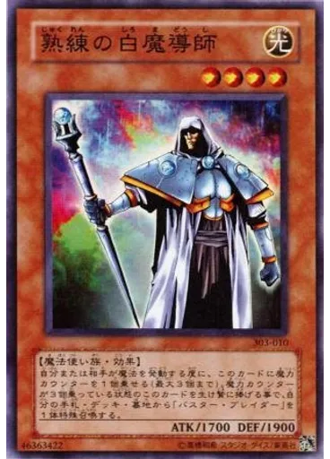 熟練の白魔導師 — Champion of Black Magic