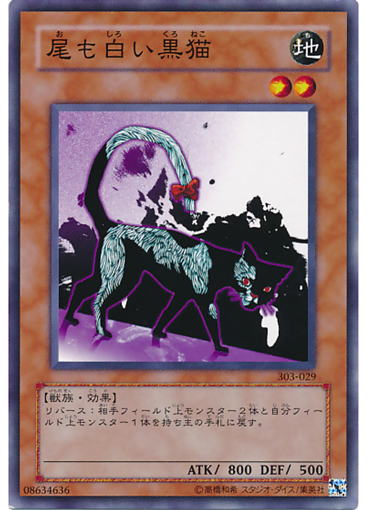 尾も白い黒猫