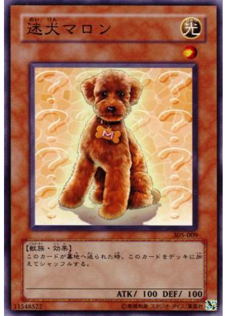 迷犬マロン