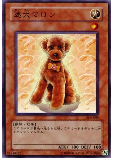 迷犬マロン