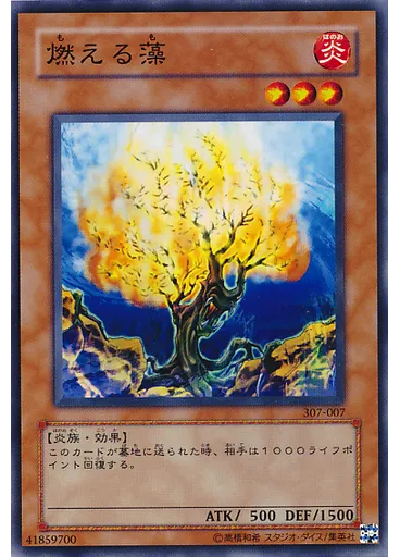 燃える藻