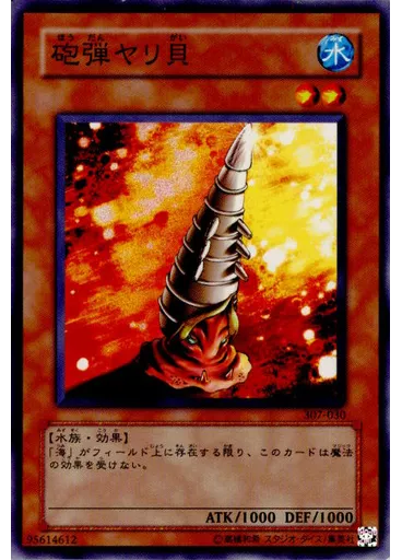 砲弾ヤリ貝