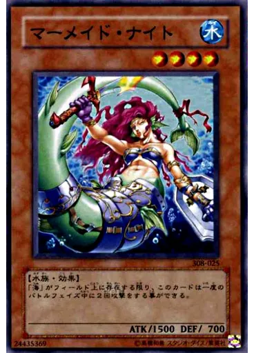 マーメイド・ナイト