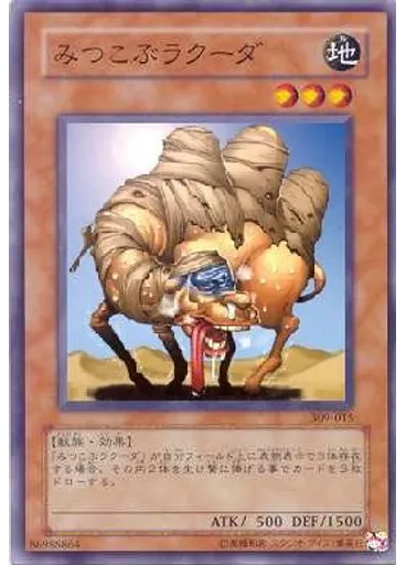 みつこぶラクーダ