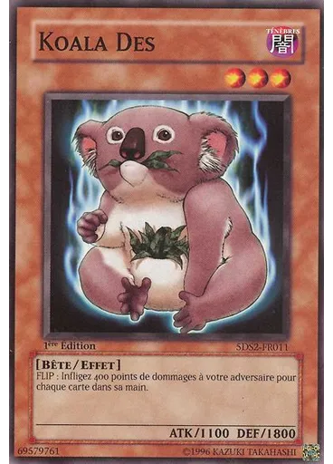 Koala Des