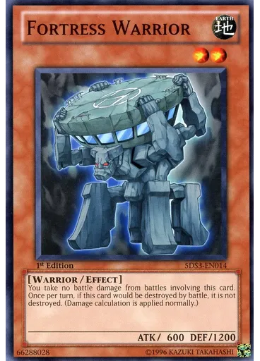 Fortress Warrior