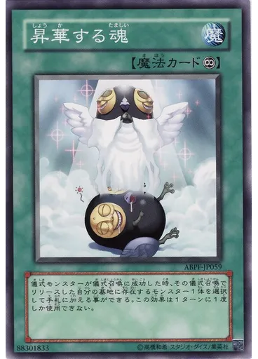 昇華する魂