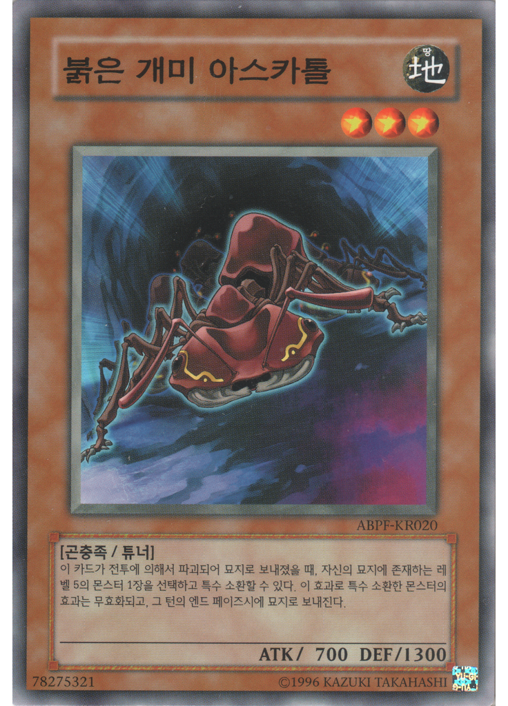 붉은 개미 아스카톨 (Common Unlimited)