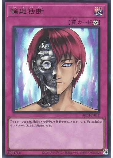 輪廻独断