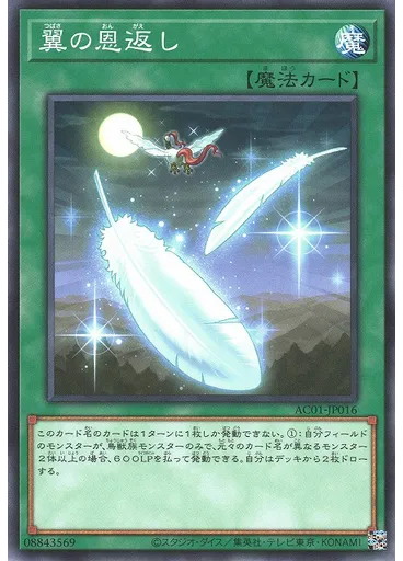 翼の恩返し