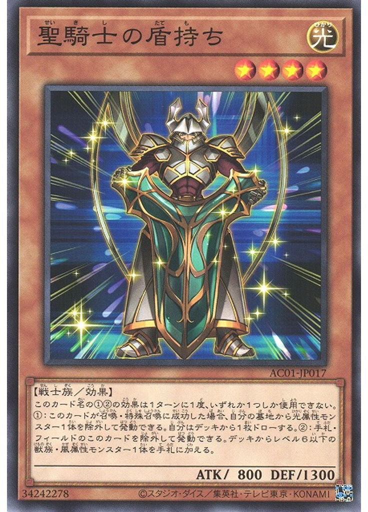 聖騎士の盾持ち