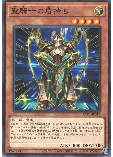 聖騎士の盾持ち