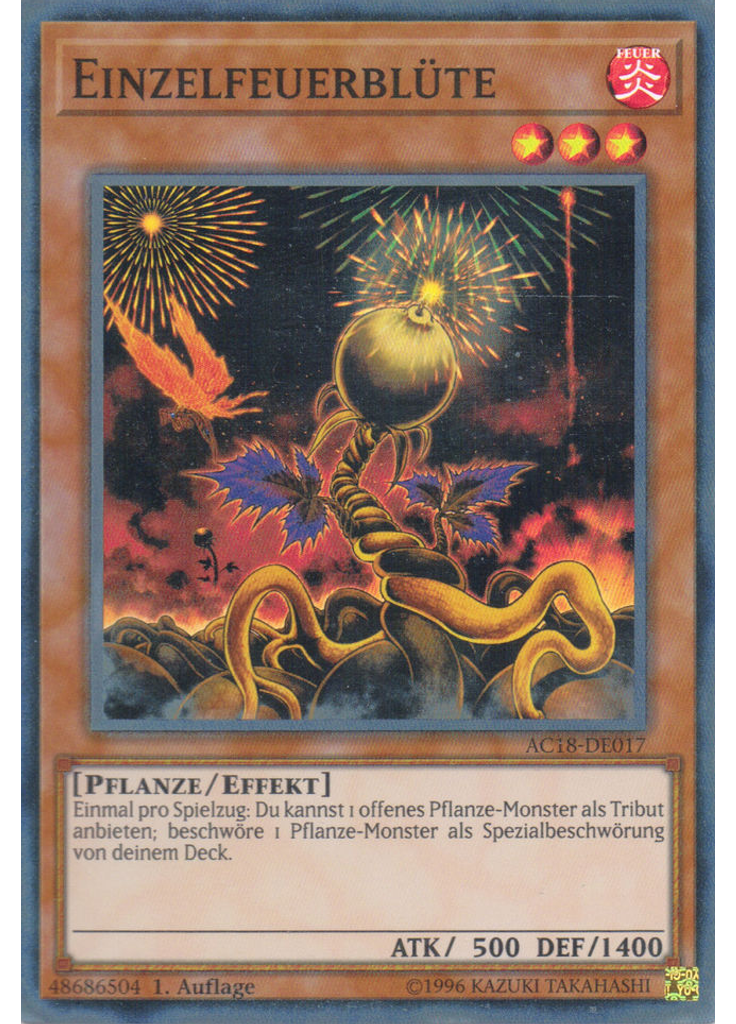 Einzelfeuerblüte