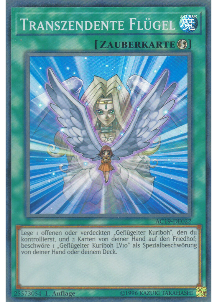 Transzendente Flügel