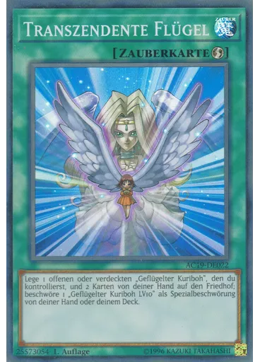 Transzendente Flügel