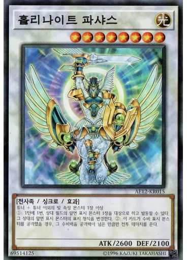 홀리나이트 파샤스