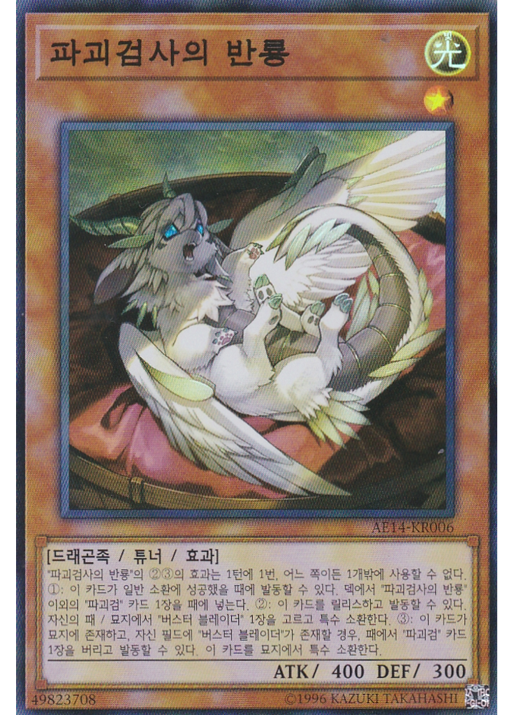 파괴검사의 반룡