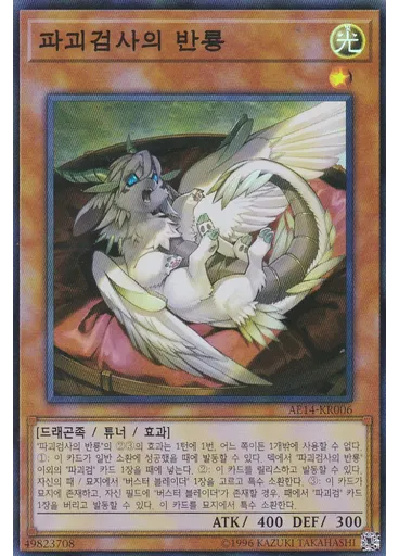 파괴검사의 반룡