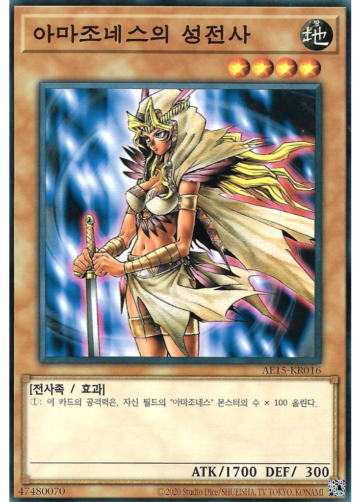 아마조네스의 성전사