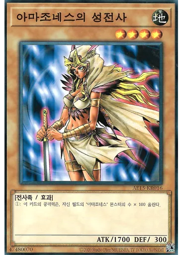아마조네스의 성전사