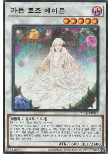 가든 로즈 메이든
