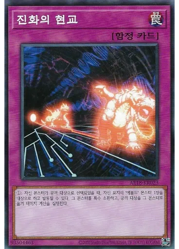 진화의 현교