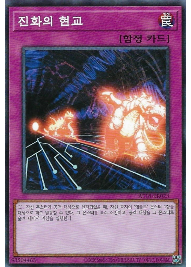 진화의 현교