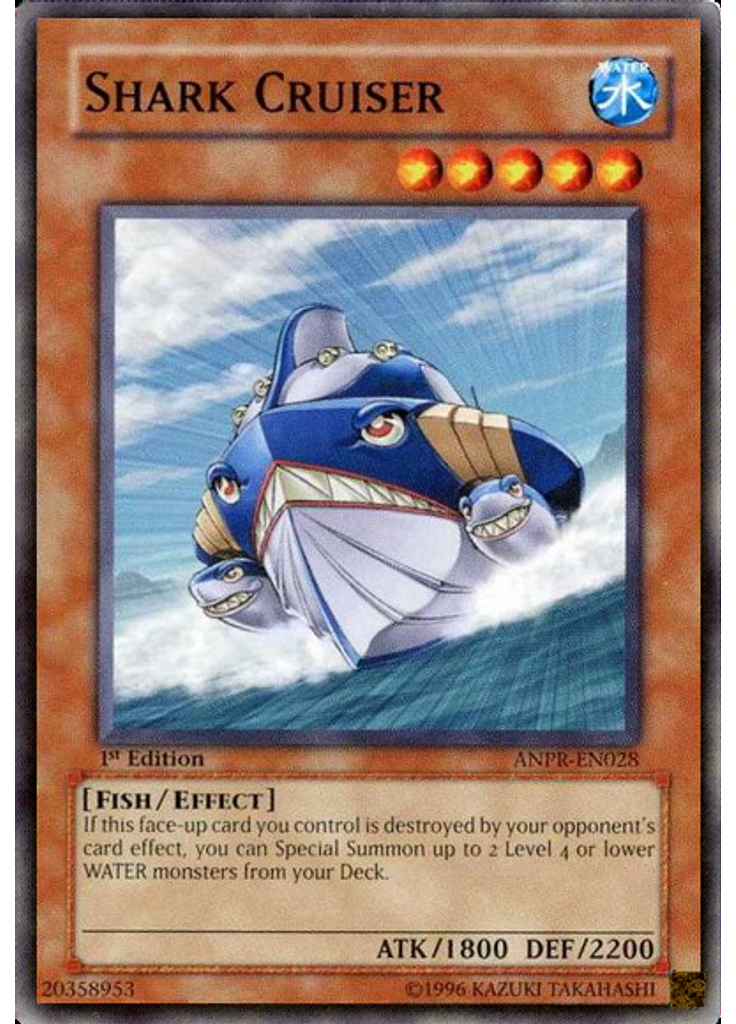 Shark Cruiser