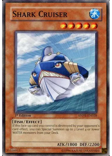 Shark Cruiser