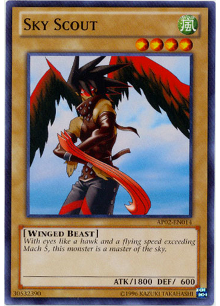 Sky Scout