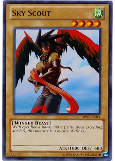 Sky Scout