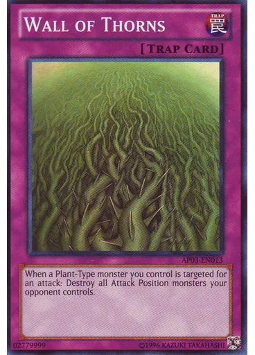 Wall of Thorns