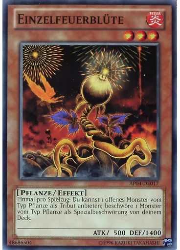 Einzelfeuerblüte