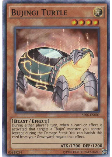 Bujingi Turtle