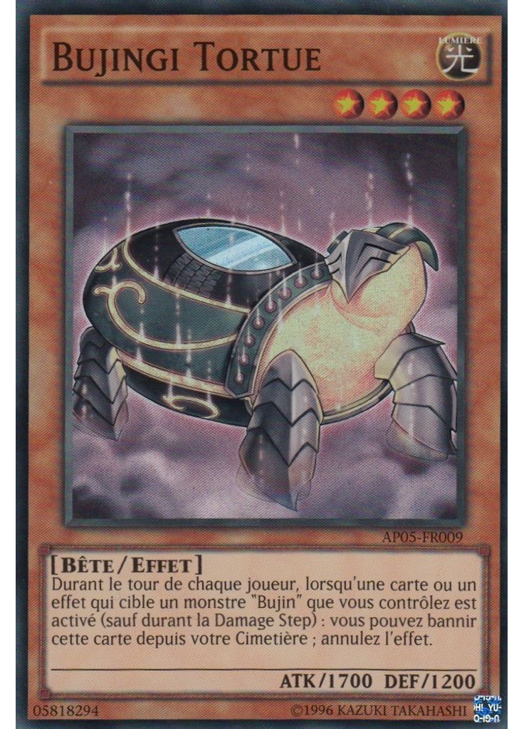 Bujingi Tortue