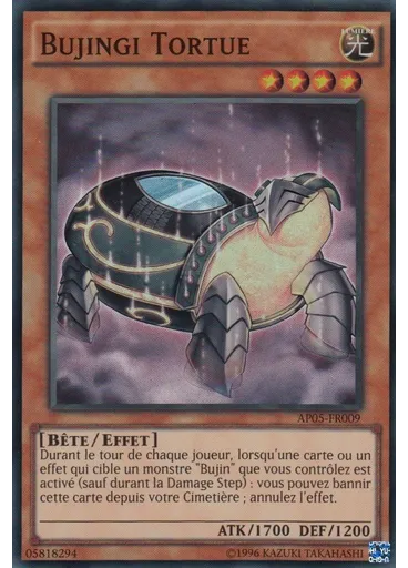 Bujingi Tortue
