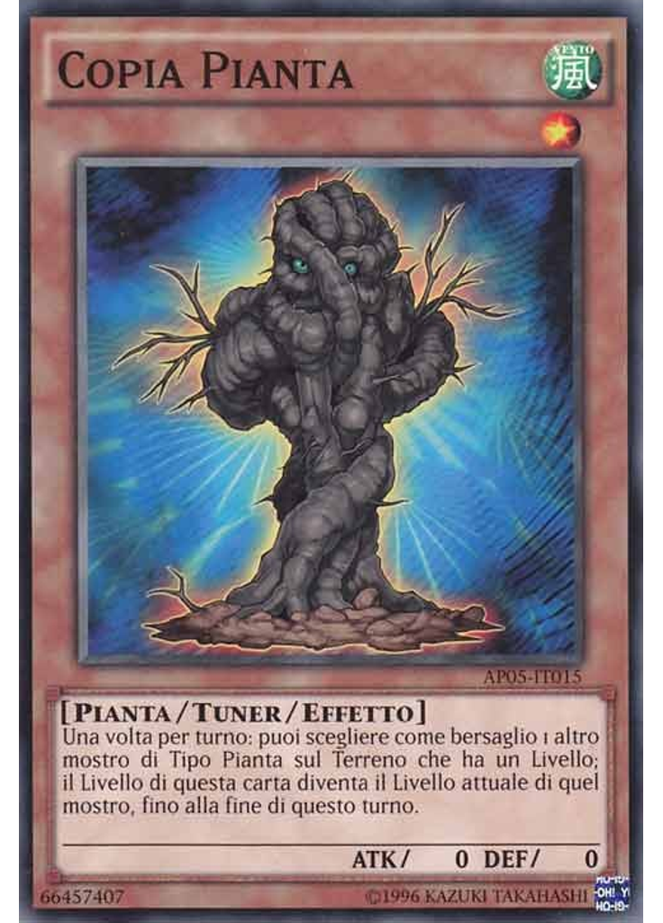 Copia Pianta