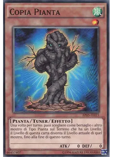 Copia Pianta