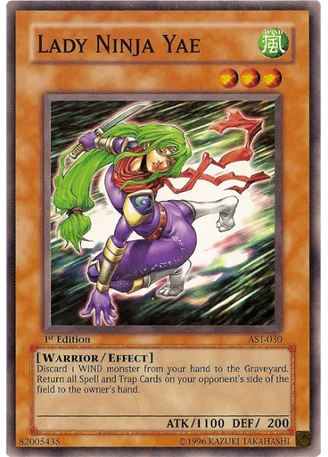 Lady Ninja Yae