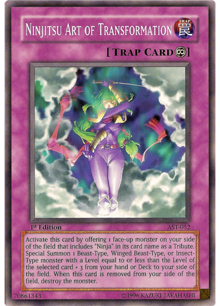 Ninjitsu Art of Transformation